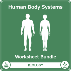 human body systems worksheet bundle